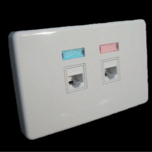 Wideband Face Plate - 2 Port Data outlet (pack of 10)